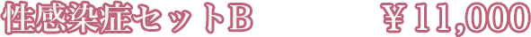 ɥåȡB\11,000