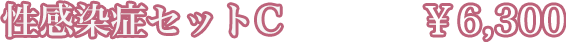 ɥåȡC\6,300