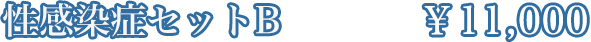 ɥåȡB\10,800